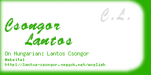 csongor lantos business card